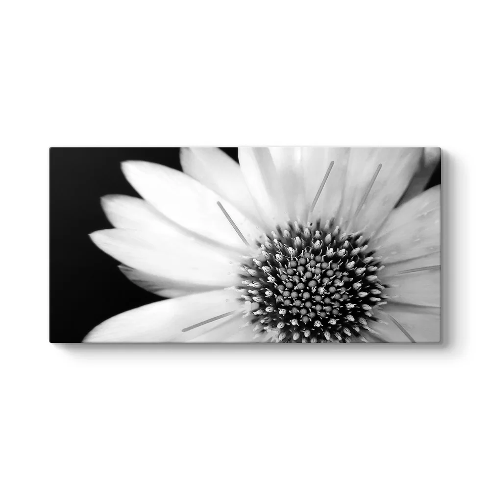 Yakından Gerbera Çiçeği Tablosu - Model 5